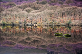 Lough Dan, Wicklow