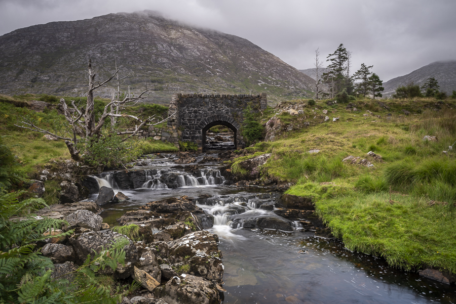 Our degraded landscape… hope for the future?